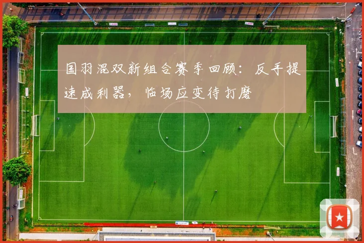国羽混双新组合赛季回顾：反手提速成利器，临场应变待打磨 - 球探体育推荐