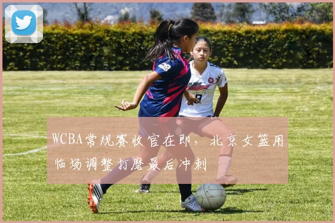 WCBA常规赛收官在即，北京女篮用临场调整打磨最后冲刺 - 球探体育推荐