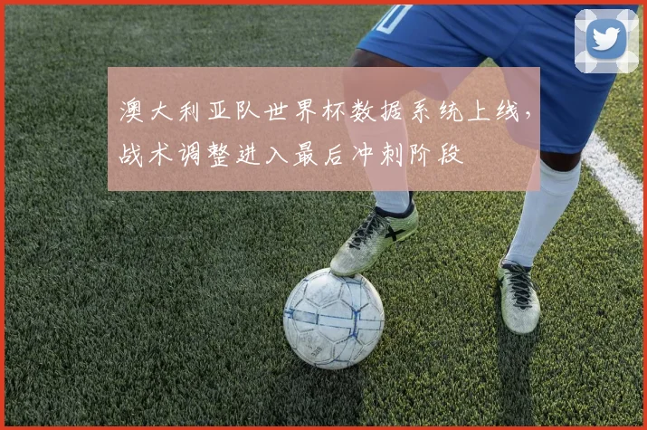 澳大利亚队世界杯数据系统上线，战术调整进入最后冲刺阶段 - 球探体育精选
